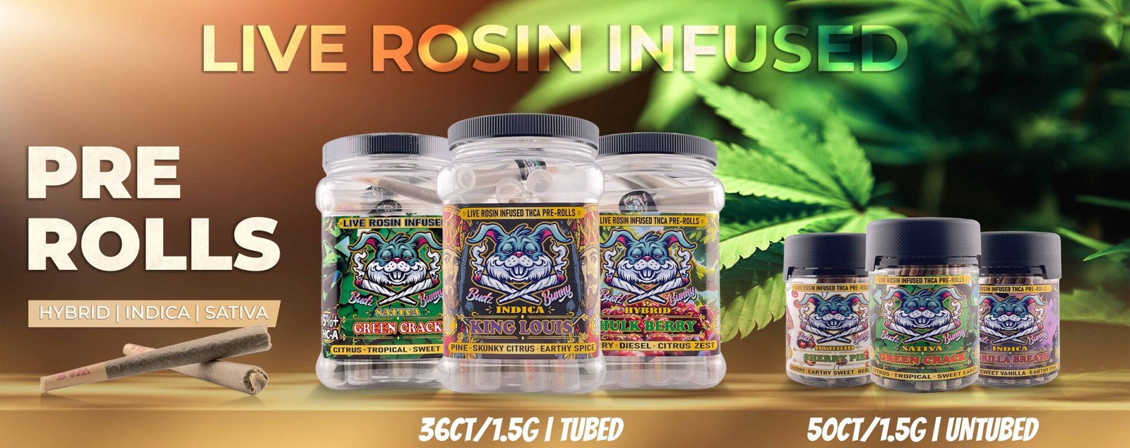 Live Rosin Infused